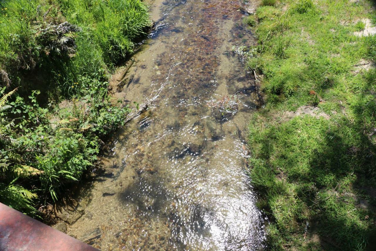 Unwind In Paradise Valley Trout At Your Door ロトルア エクステリア 写真